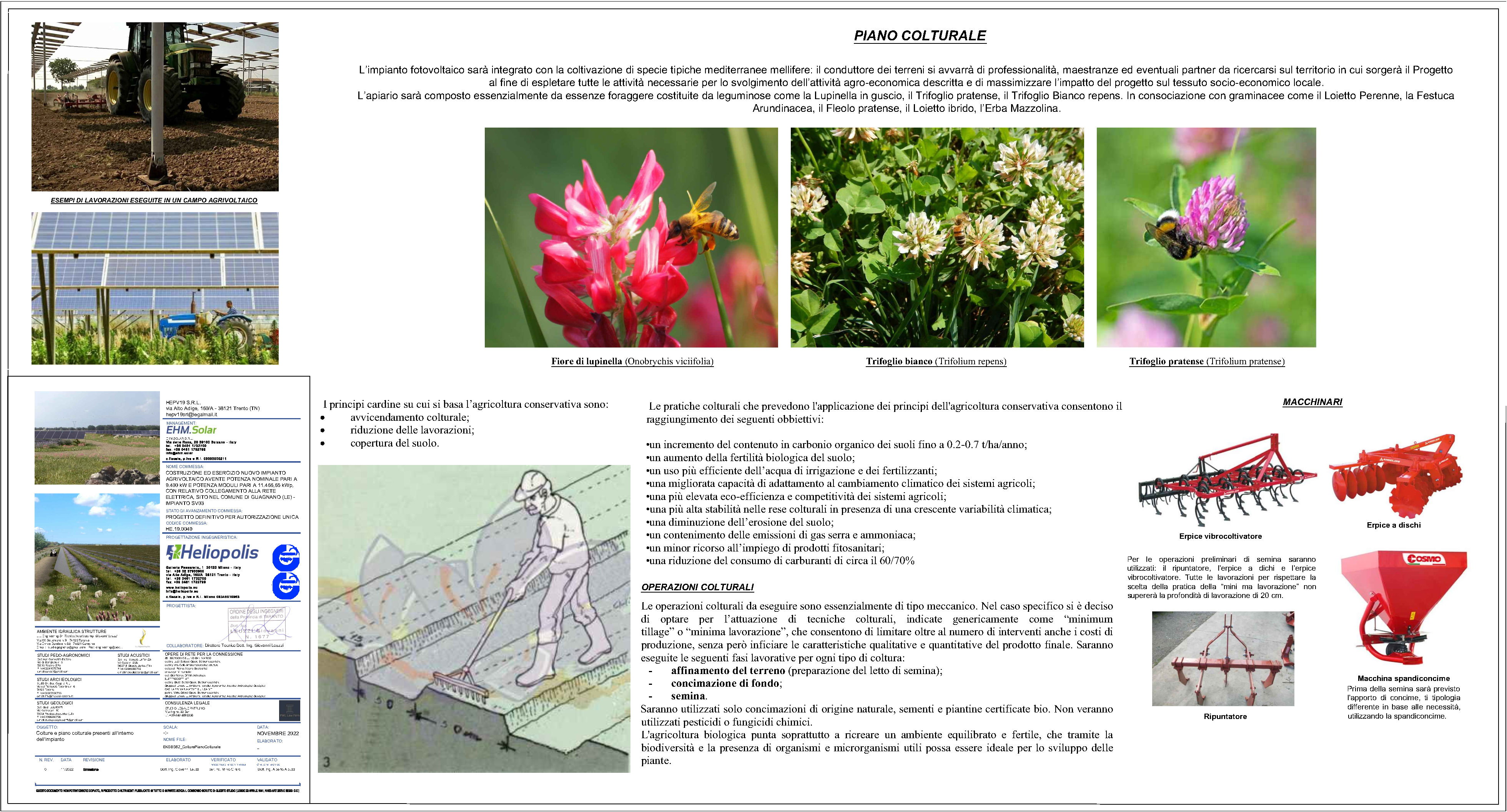 gestione/img/uploadProject/19/EKGBS62_ColtureEPianoColturale_Colture e piano colturale presente allinterno dellimpianto.jpg.